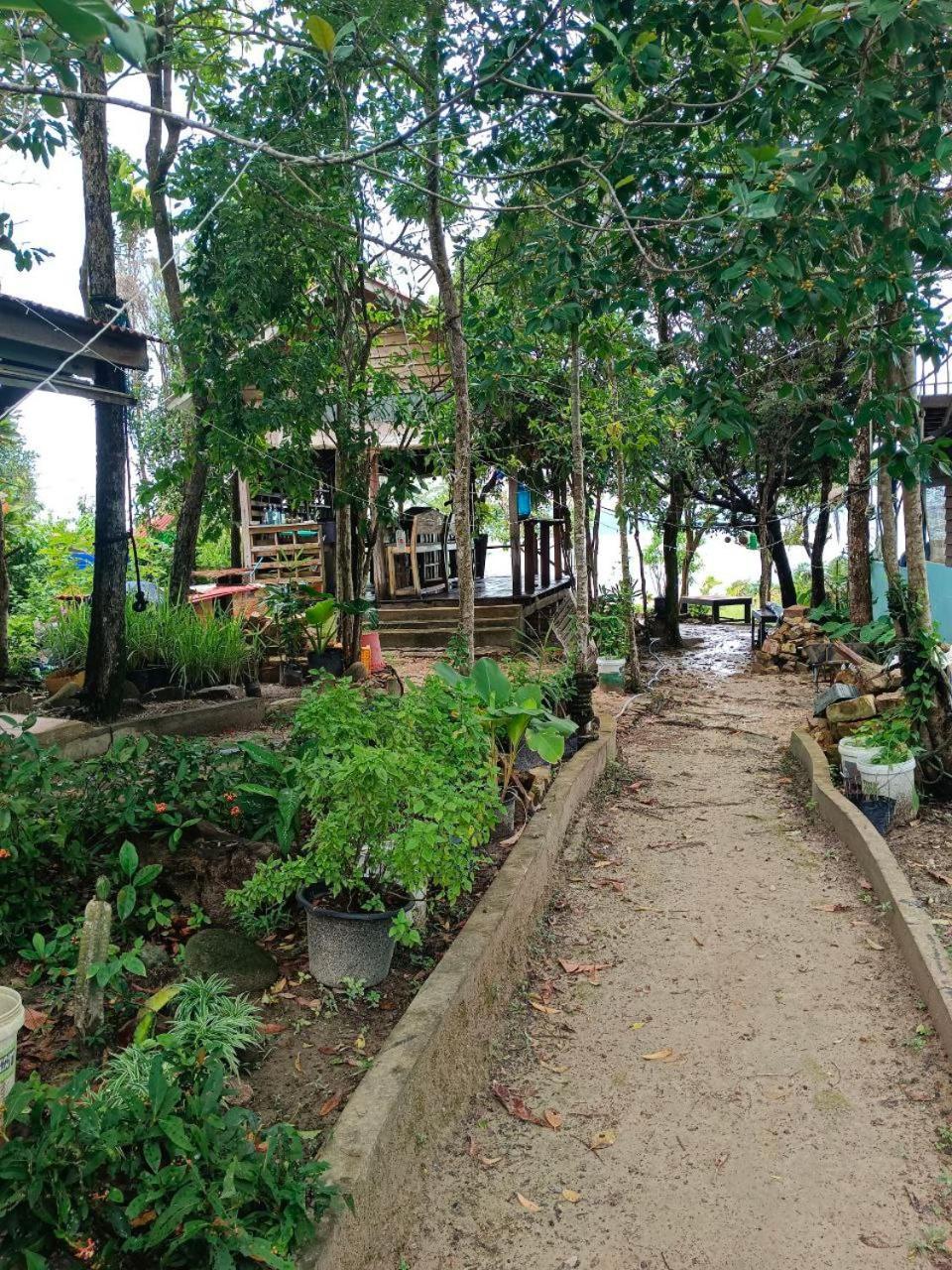 Dragonfly Guesthouse Koh Rong Sanloem Exterior foto