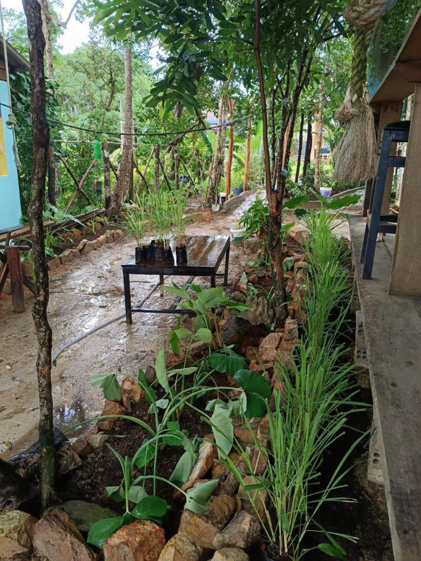 Dragonfly Guesthouse Koh Rong Sanloem Exterior foto